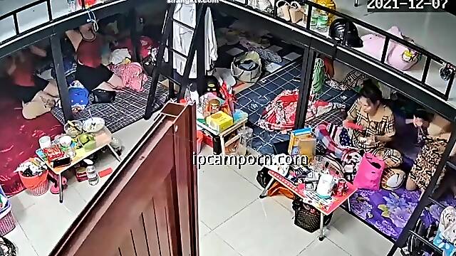 Voyeur Videos