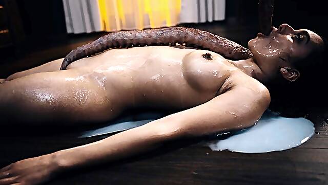 Insertion Videos