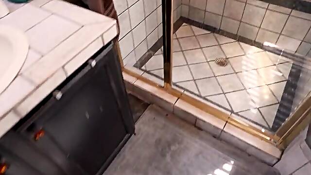 Toilet Videos