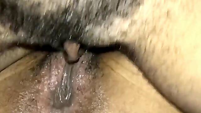 Tribbing Videos